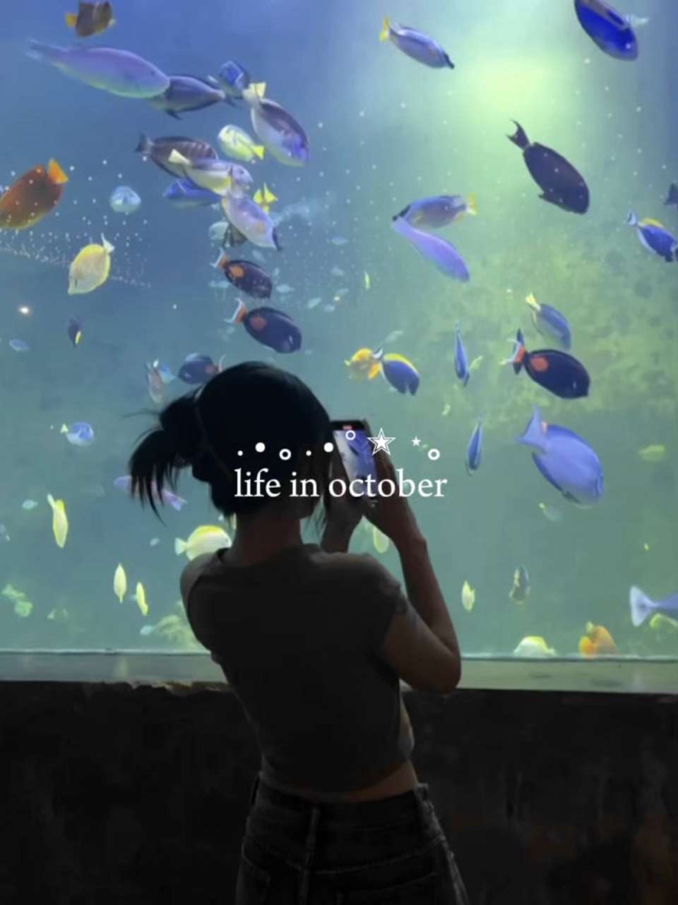 Vida em outubro