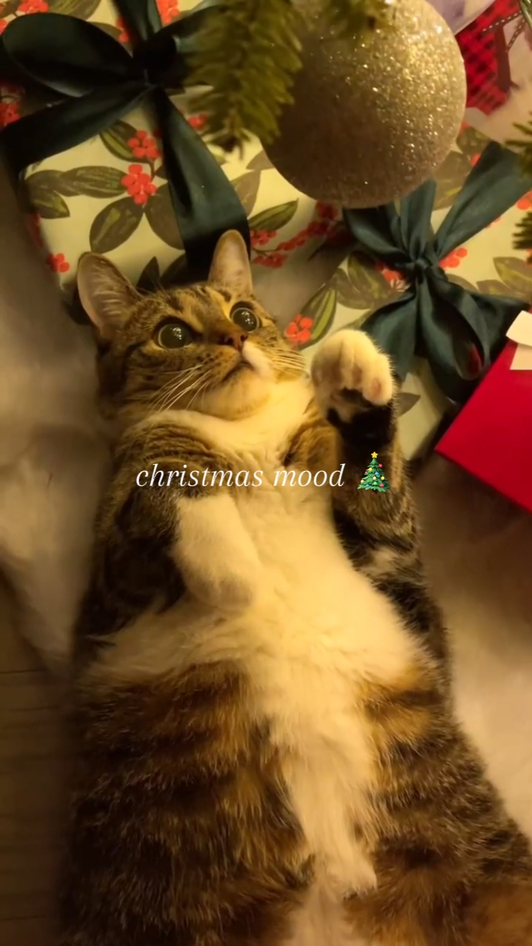 christmas mood