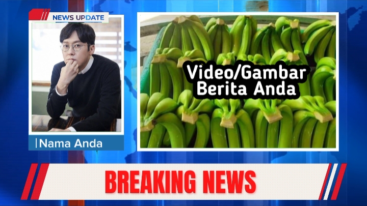 Repórter jadi