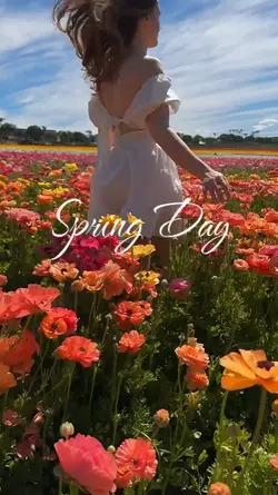 Spring Day