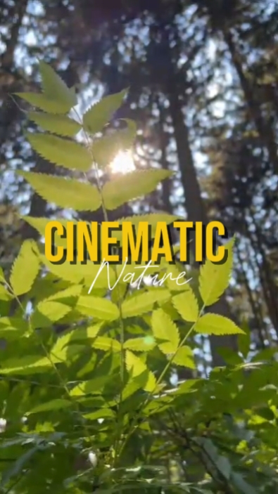 CINEMÁTICO 