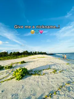 Give me a nickname