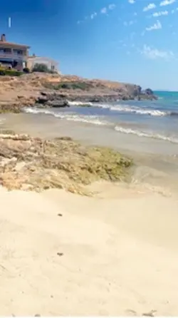Tropical beach 