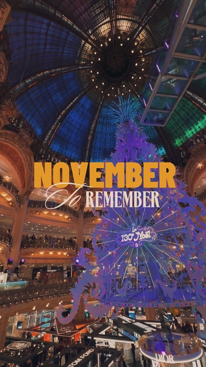Récapitulatif de novembre 🇫🇷♥️🌲