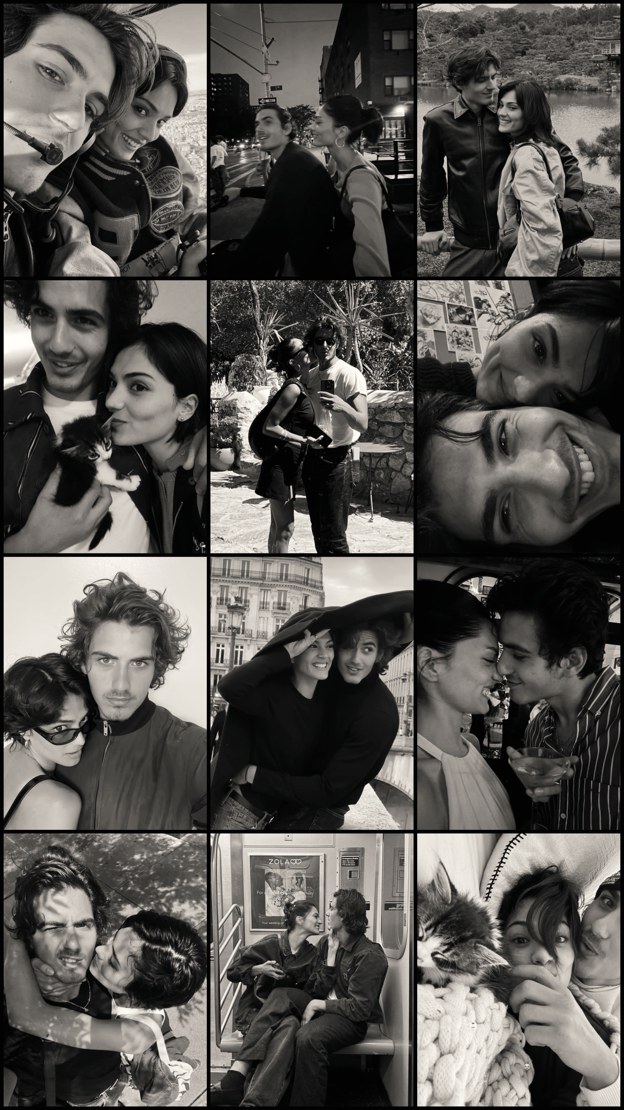 Volcado de collage de 12 fotos
