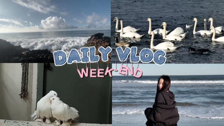membuka vlog 
