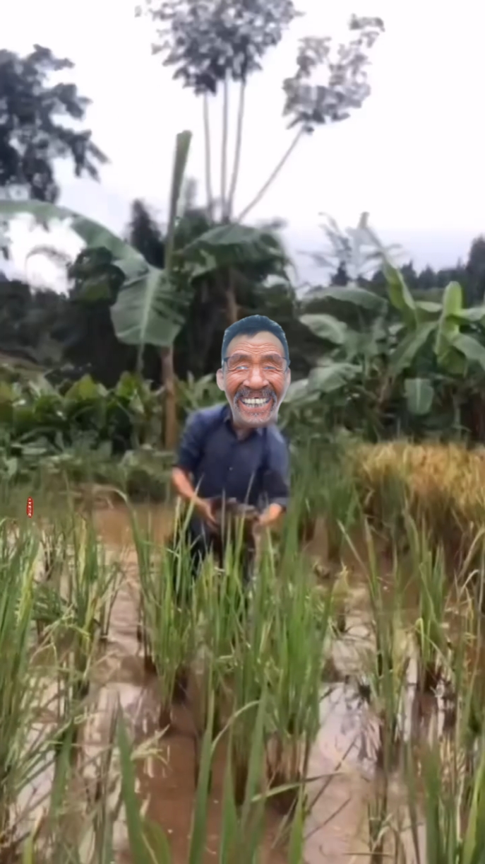 Hài hưc vui v