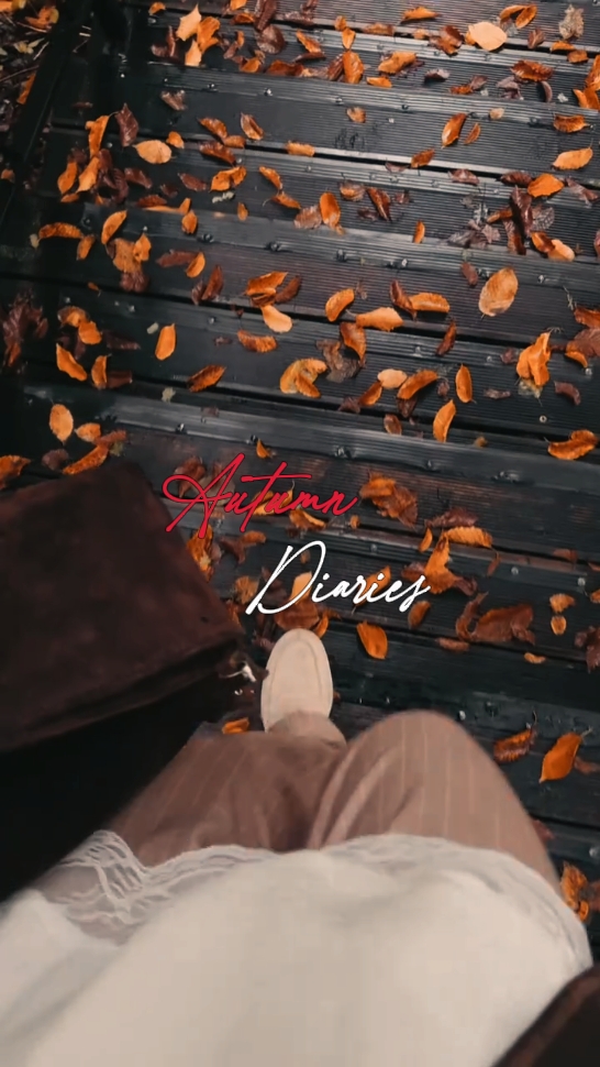Autumn Diaries