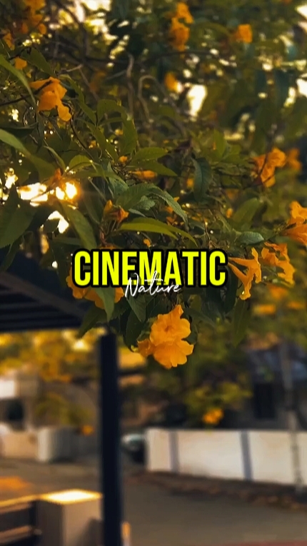 CINEMATIC 