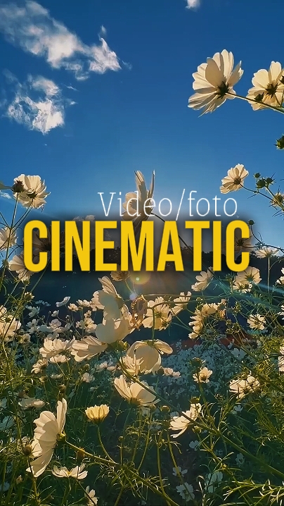 4 Clips Video 