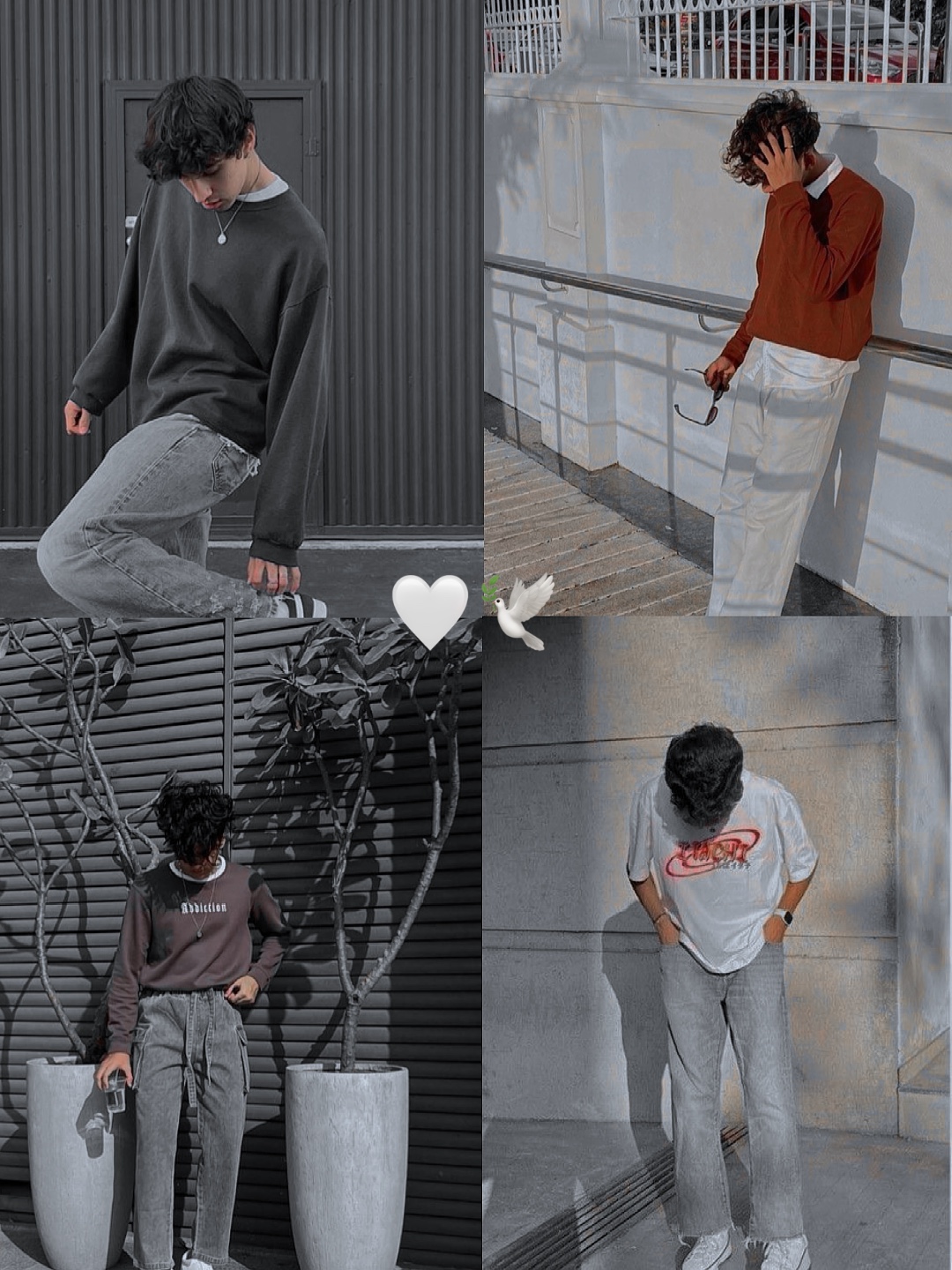 Plantilla de 4 fotos🕊️🤍