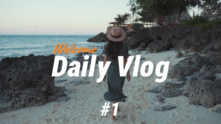 Daily Vloger