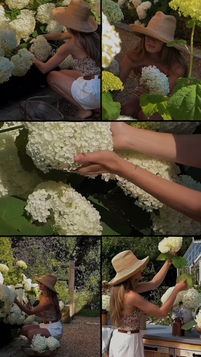 Jardinería