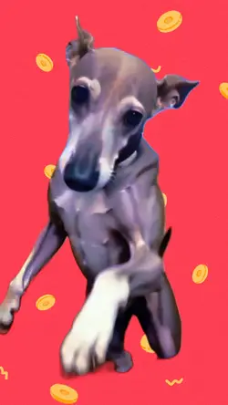 My dog sing