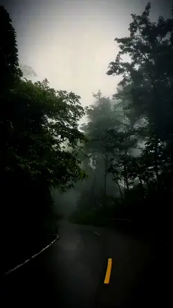 road to life