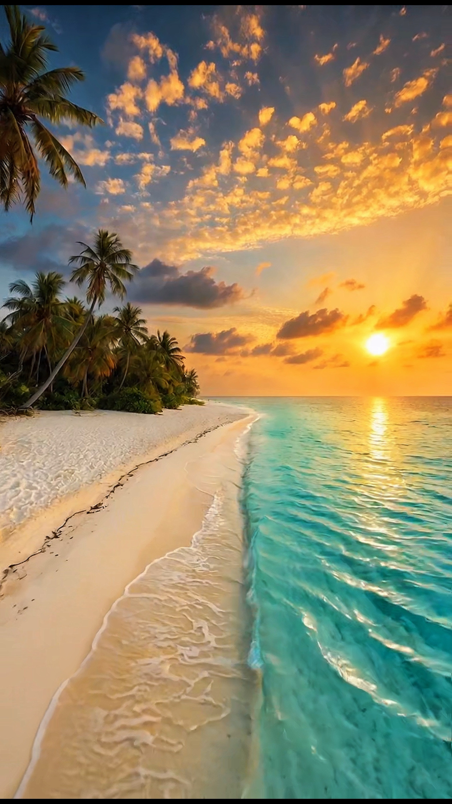 Tropical Bliss