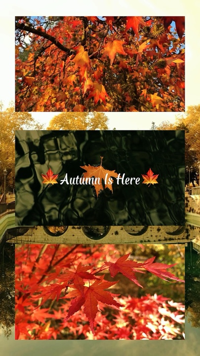 Autumn Is Here