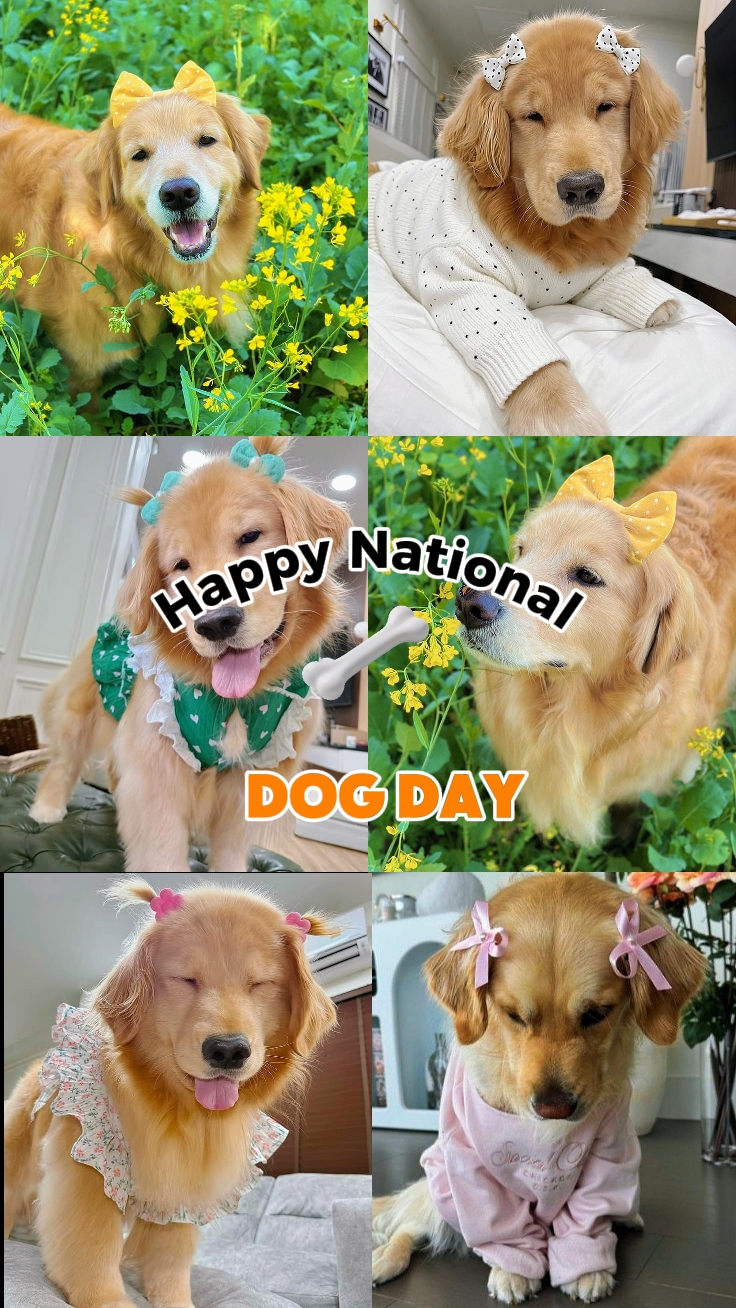 national dog day