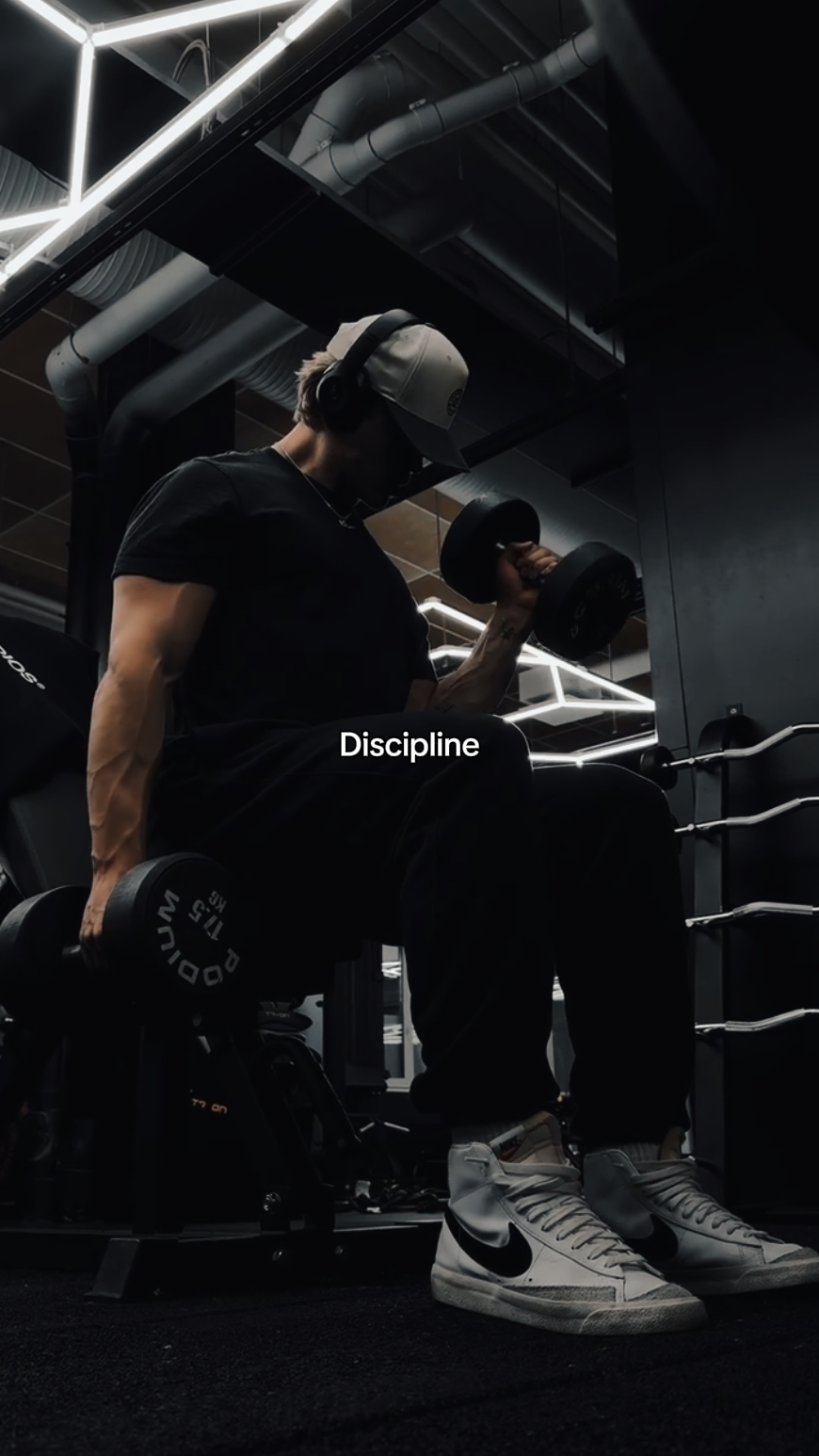 Disiplin