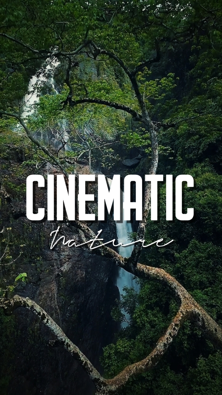 CINEMATIC NATURE 