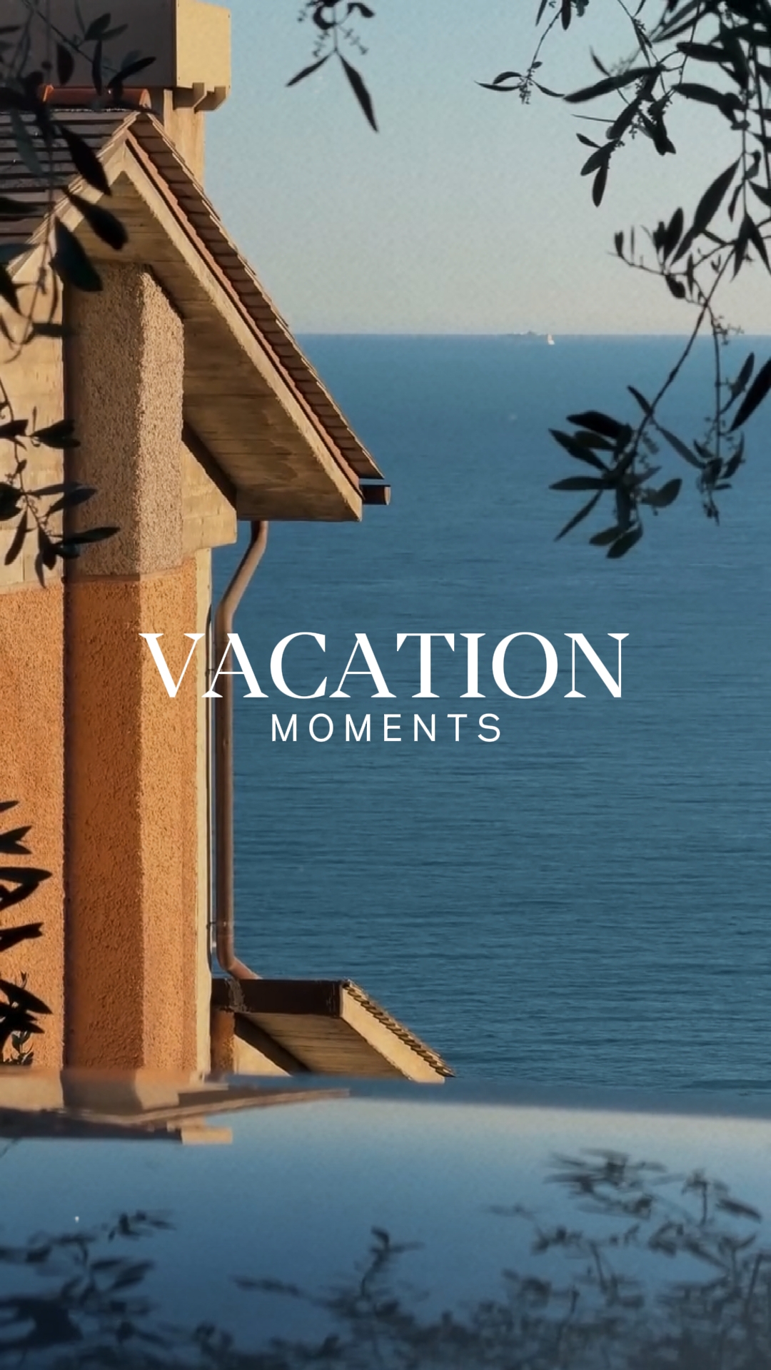 Vacation moments
