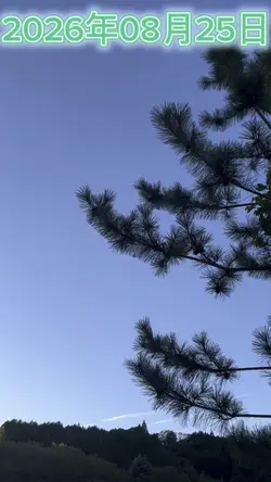 今日の天気