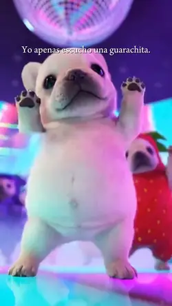 Baile de pibble 