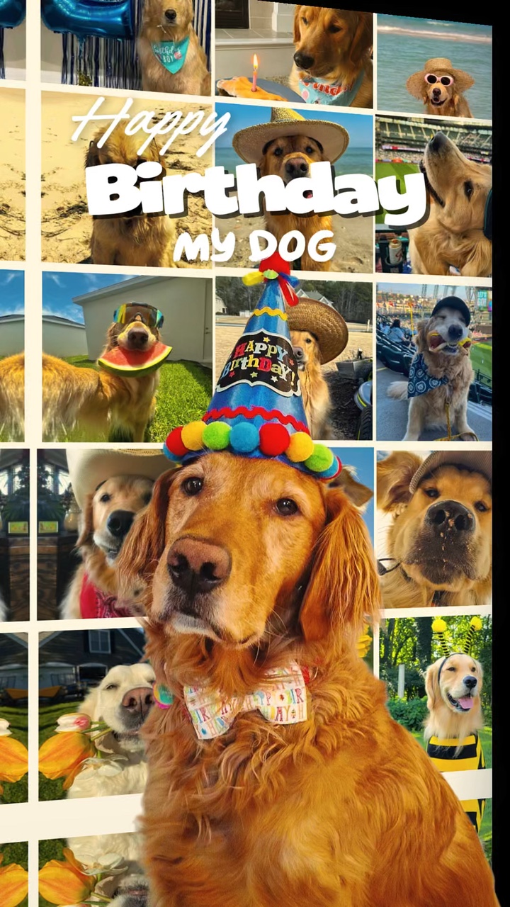 Cumpleaños mi perro