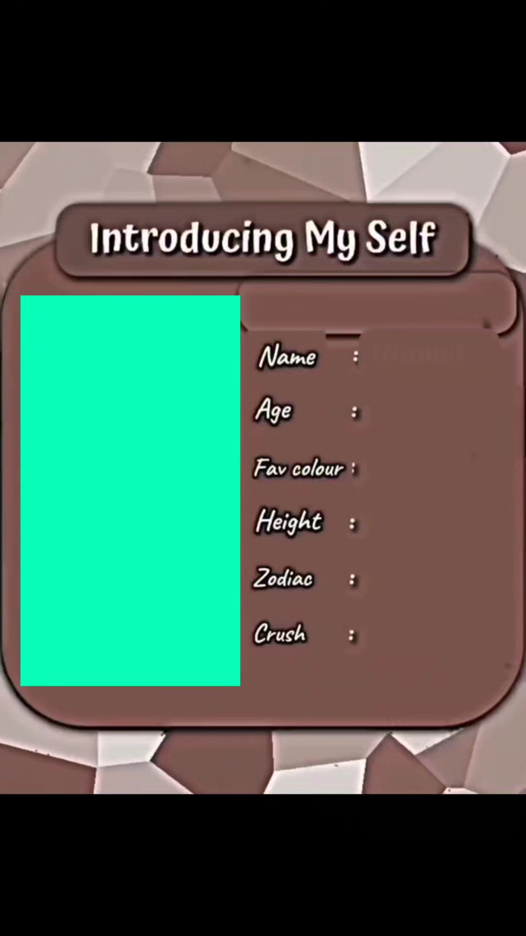 template lucu usa