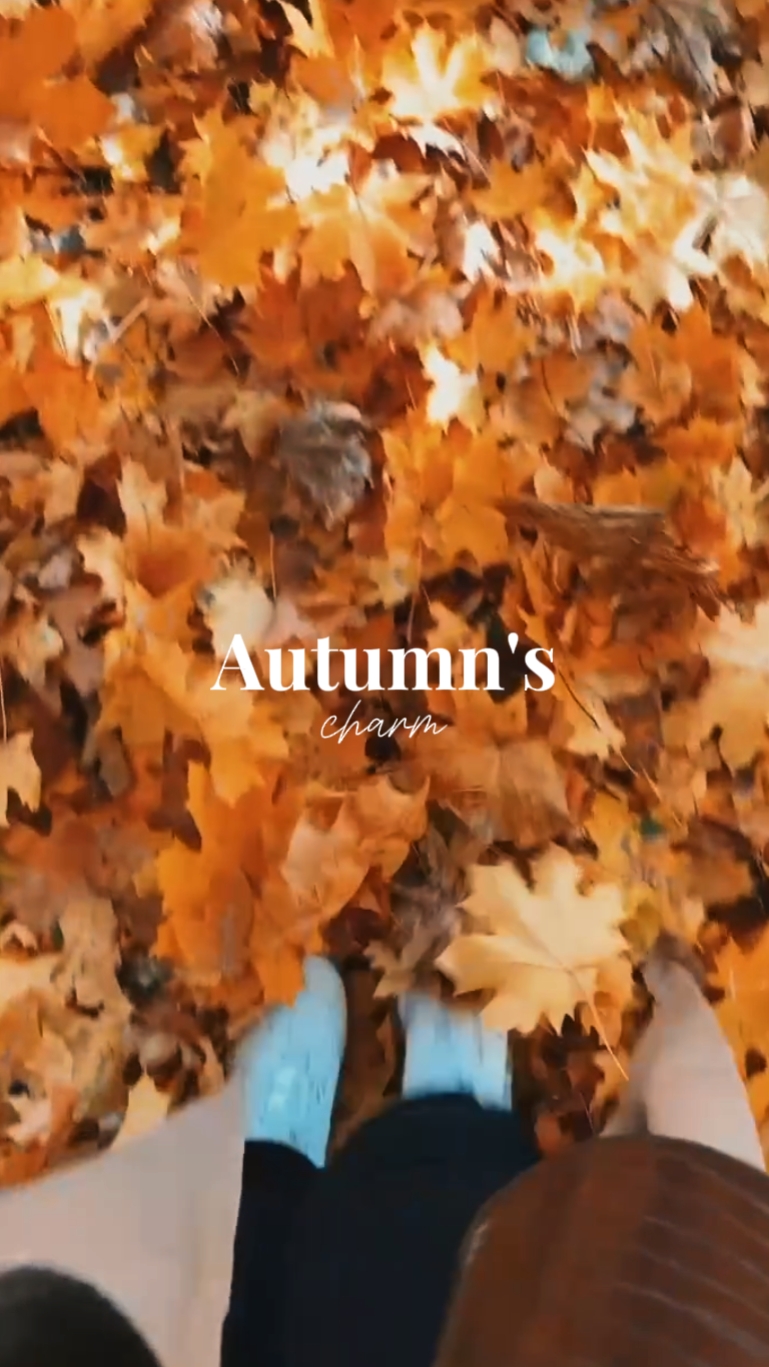 Autumn's charm 
