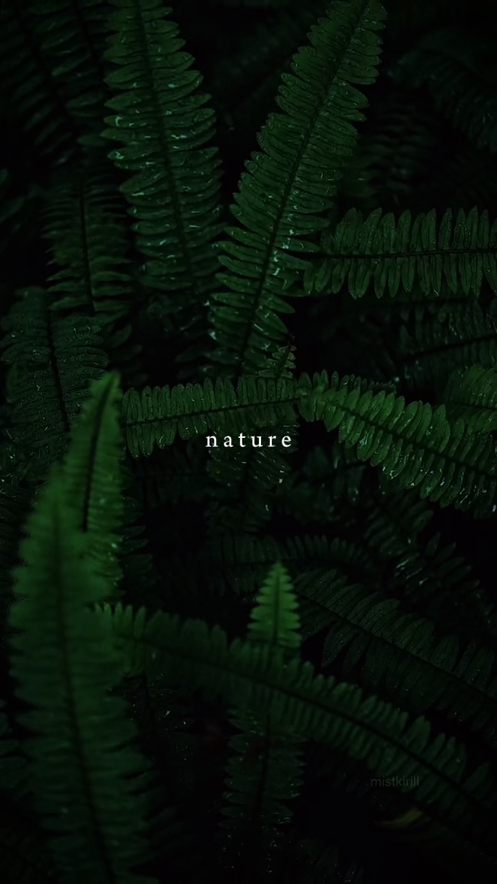 Natureza