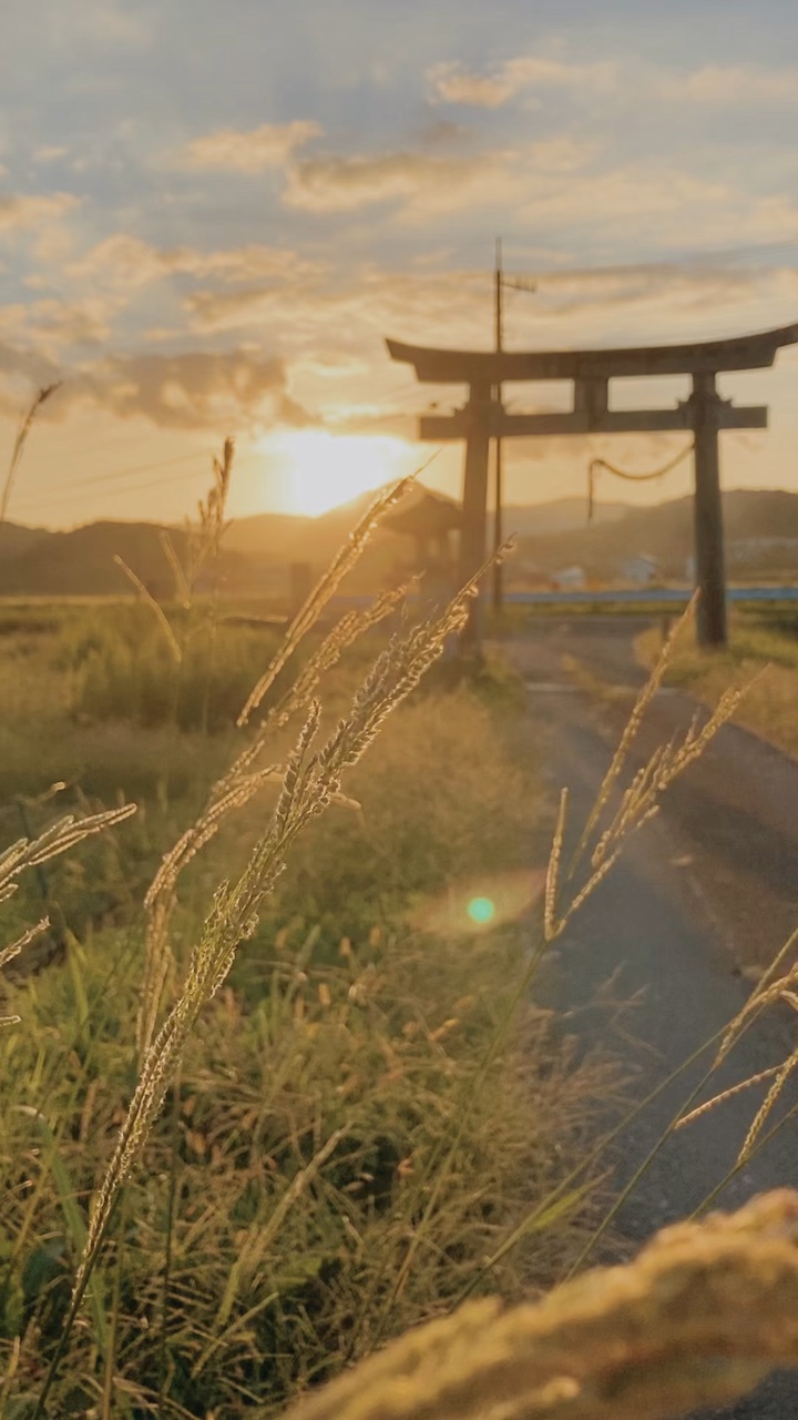 日本の秋