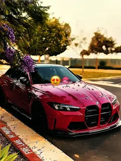 Yeni Şablon 😍