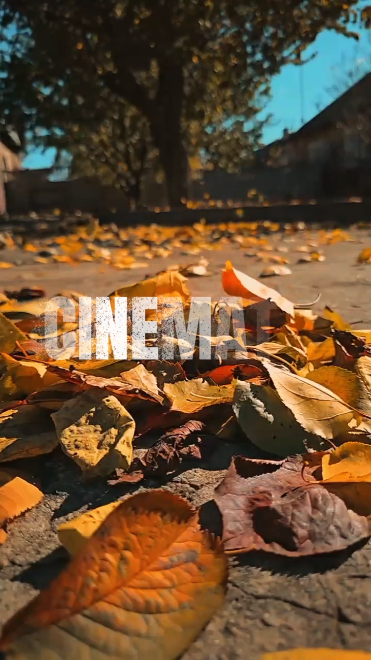 cinematic aesthetic 