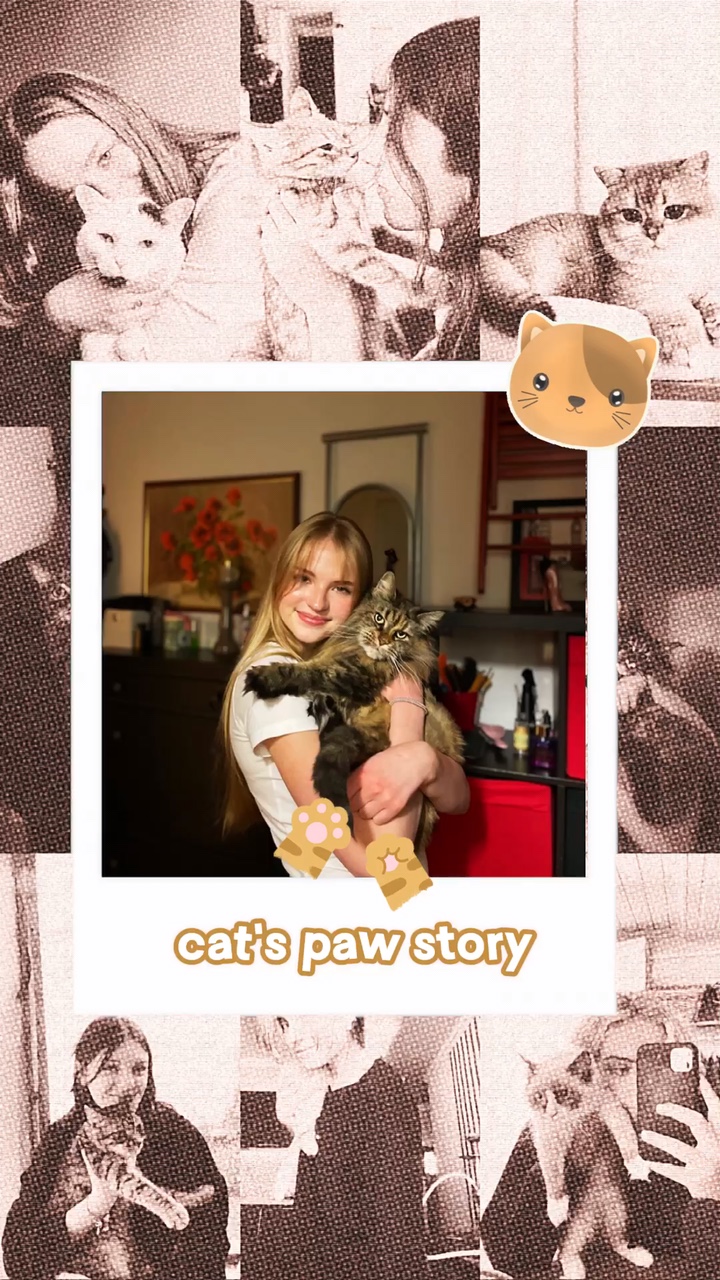 Cat’s Story 