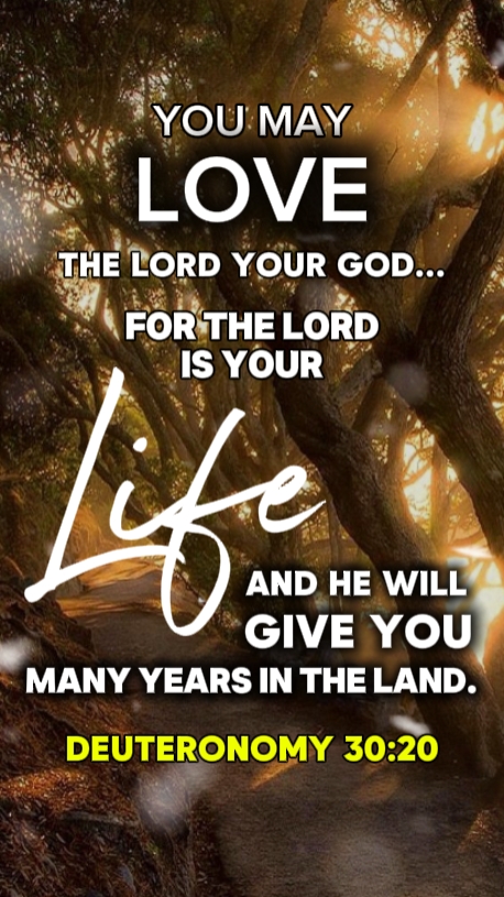 Deuteronômio 30: 20