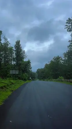 Nature video