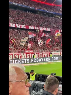 Würfel 