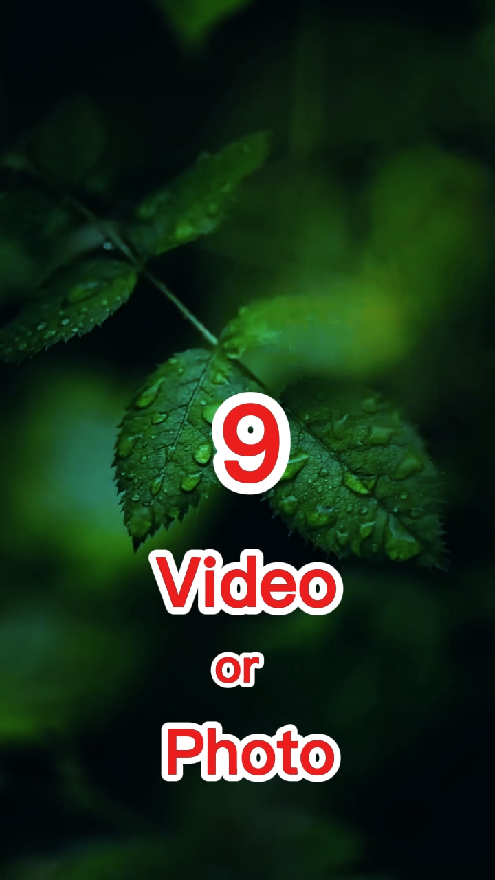9 Video oder Foto 