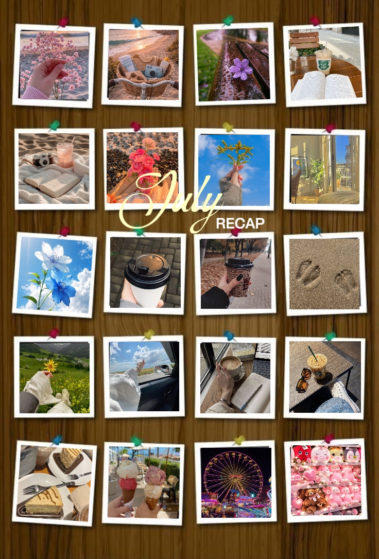 20 pict july recap
