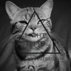Dark vs Light Triad