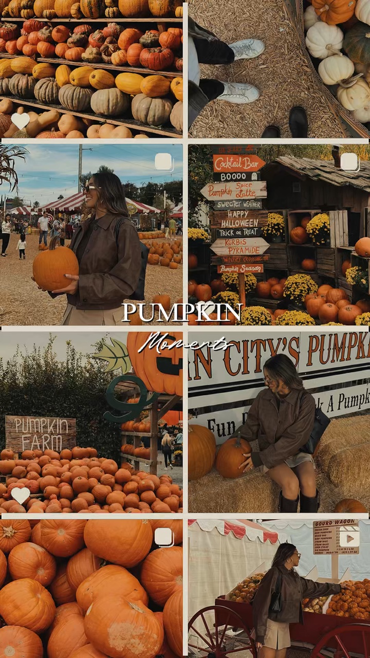 Parche de calabazas 🎃