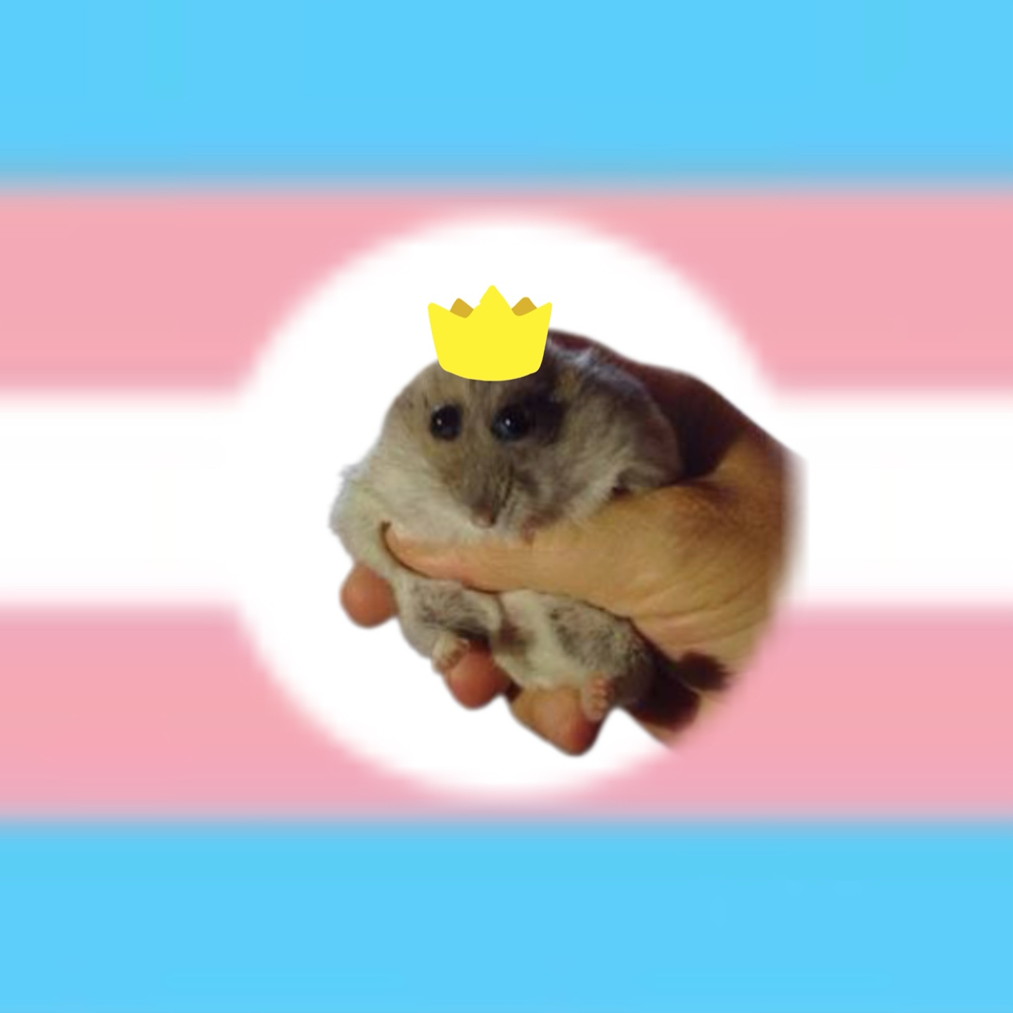 Bandera del Orgullo Trans 