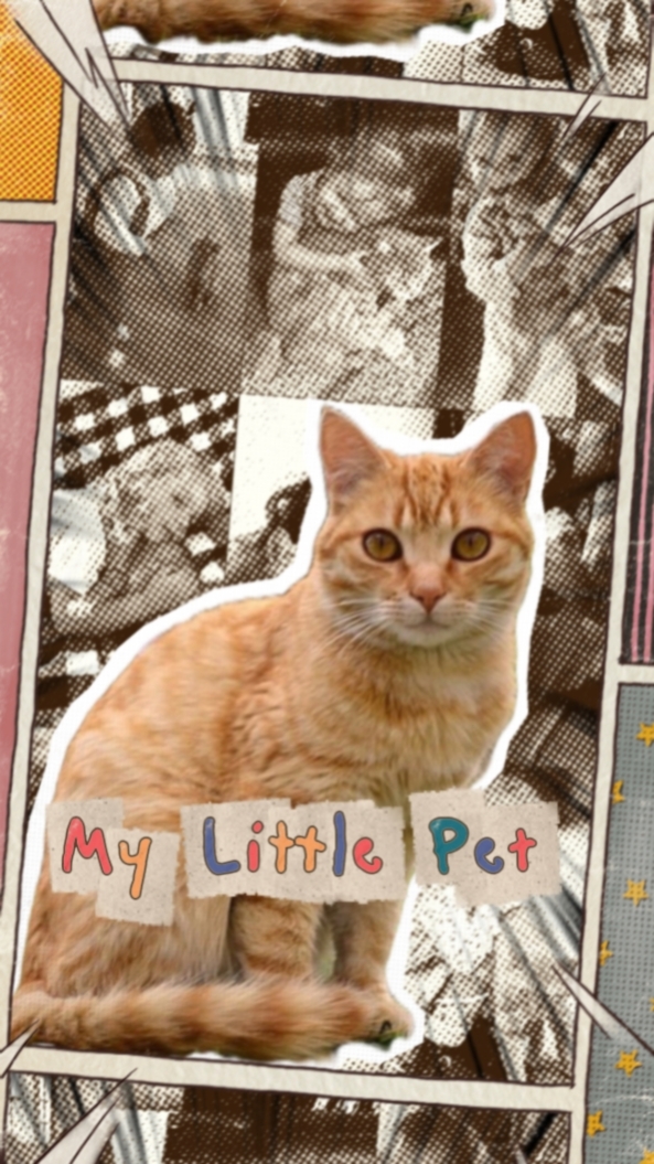 Petit animal de compagnie