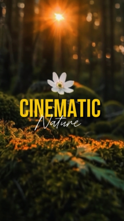 Cinemática 