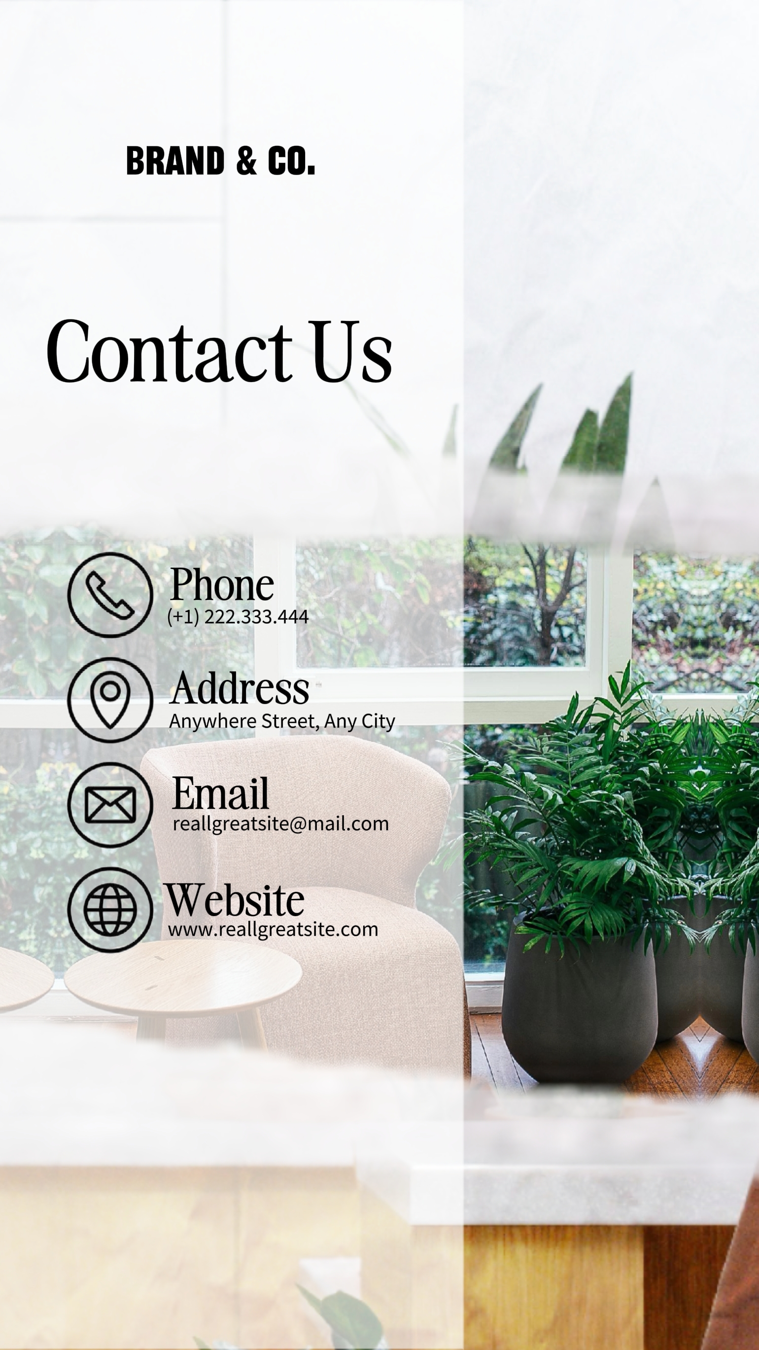 Contacto Plantilla