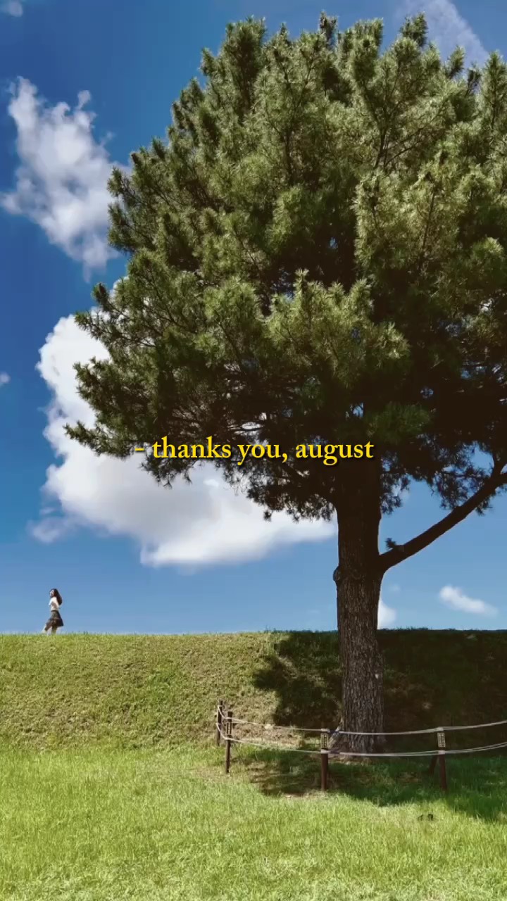 Gracias agosto