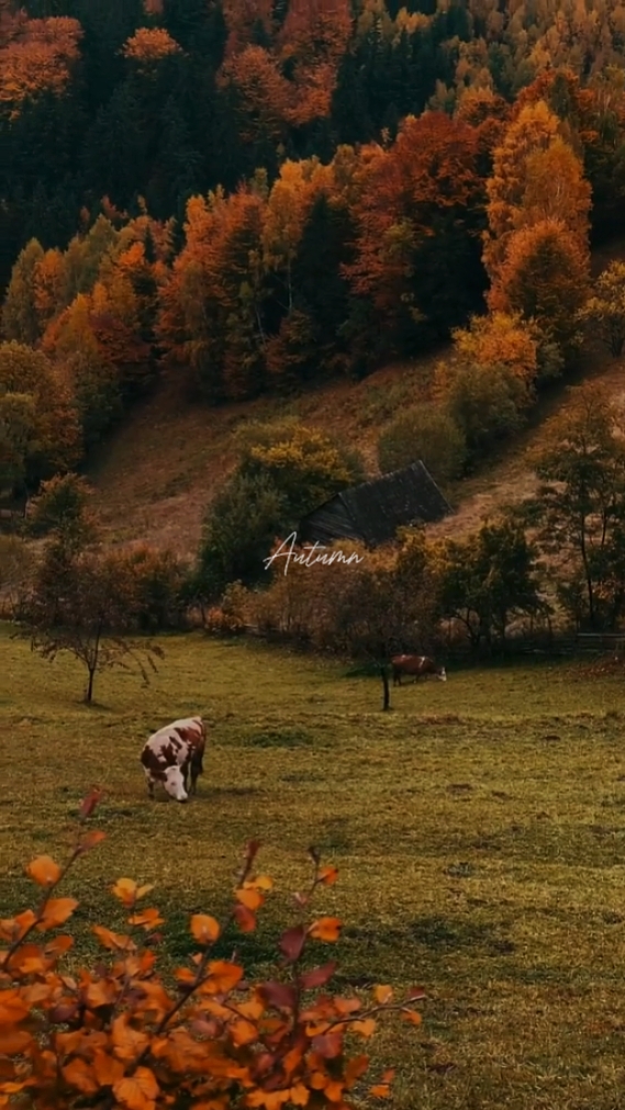 Autumn