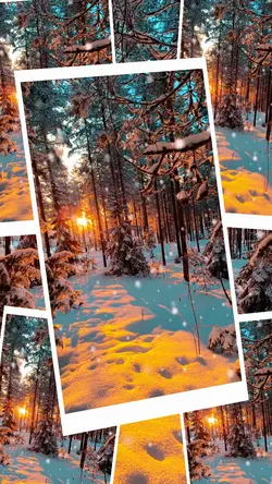 Winter