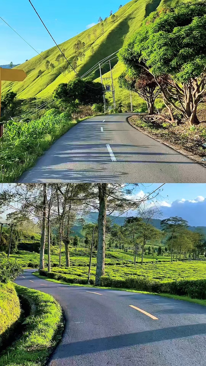 2 videos kolase 